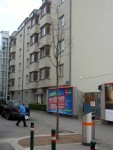 Friedmanngasse, Baum 2