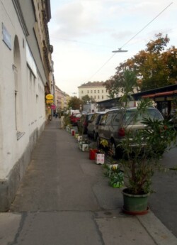 cimg0958