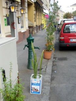 cimg0961