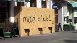 moe_bleibt