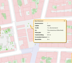 piazza_linden4