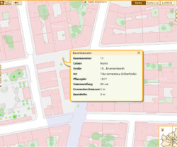 piazza_linden5