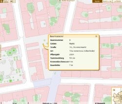piazza_linden6